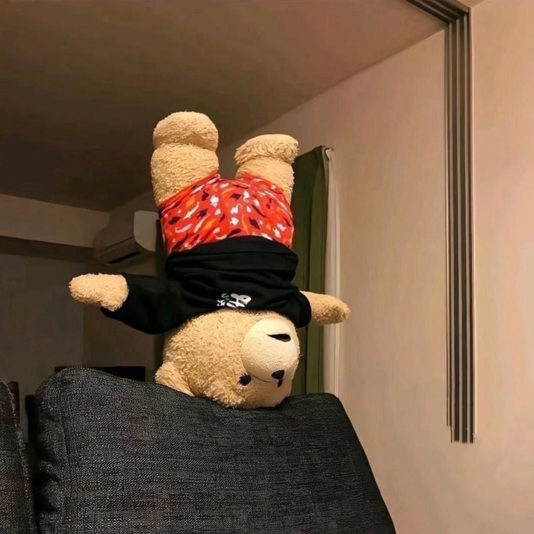 不是懒猪