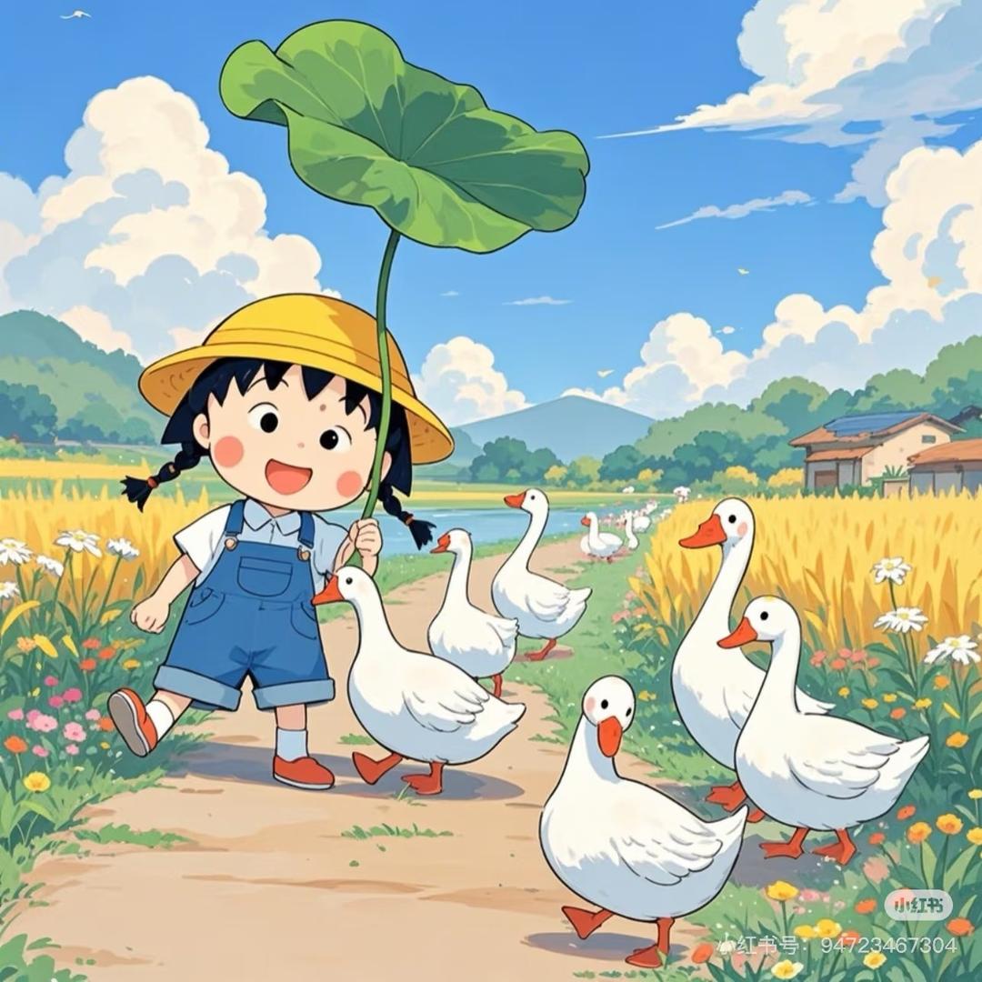 小锦鲤好运