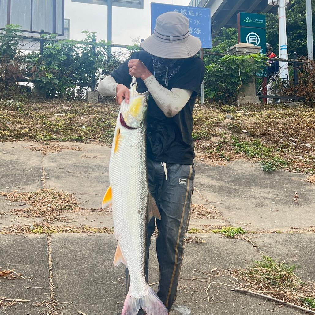 揸FlT人