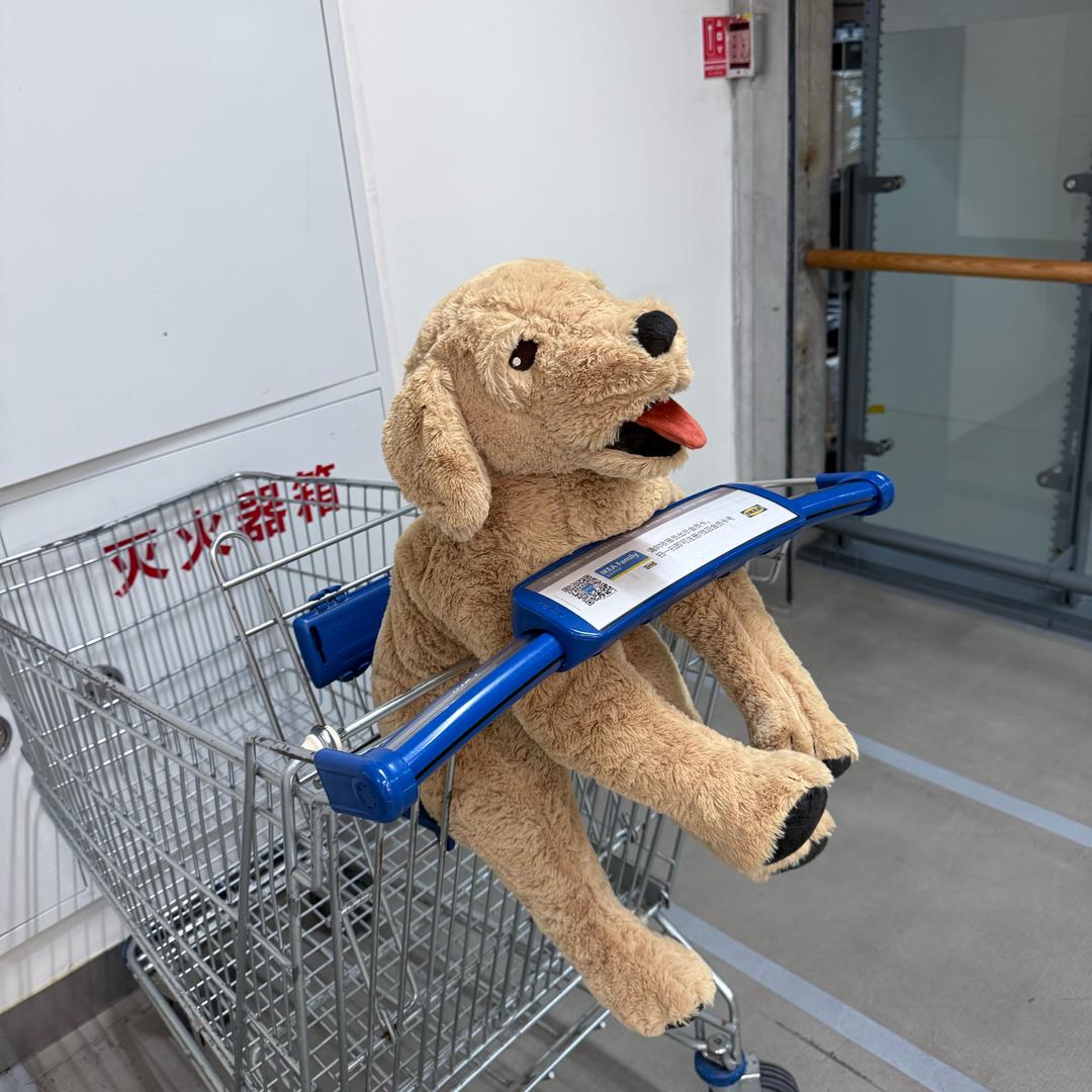 Kar儀