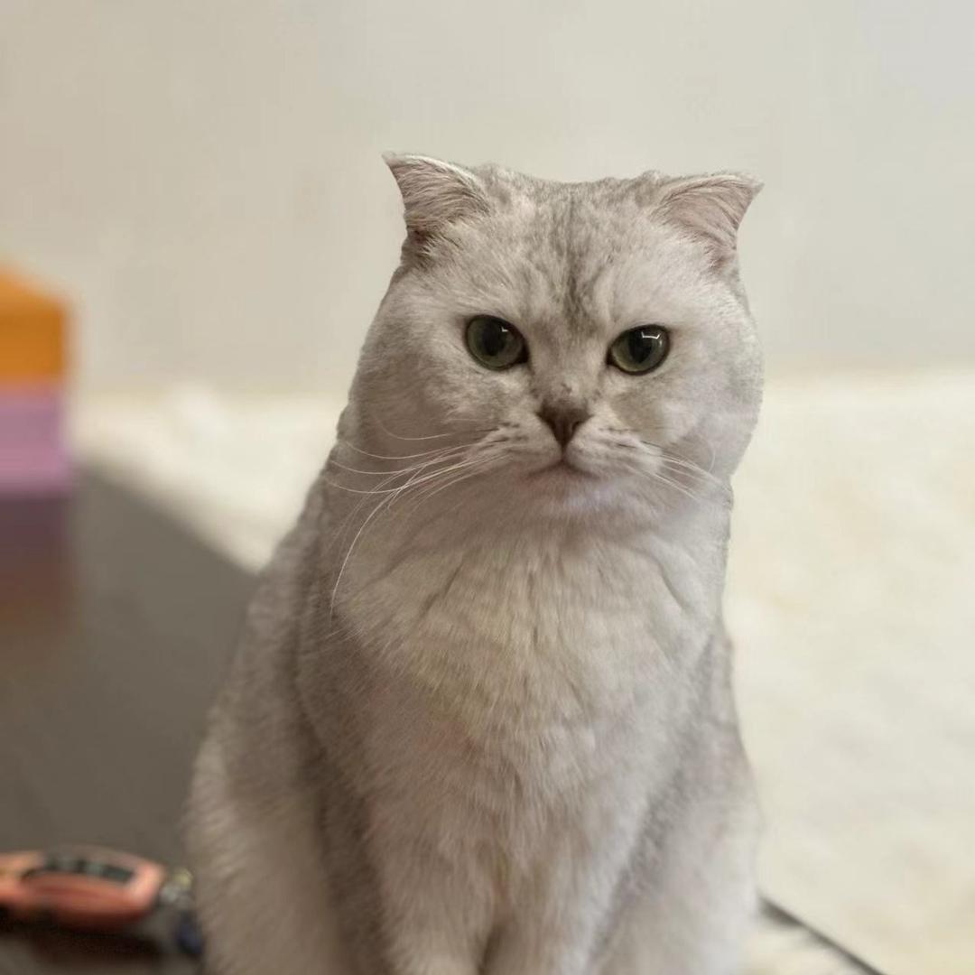 三两茶事
