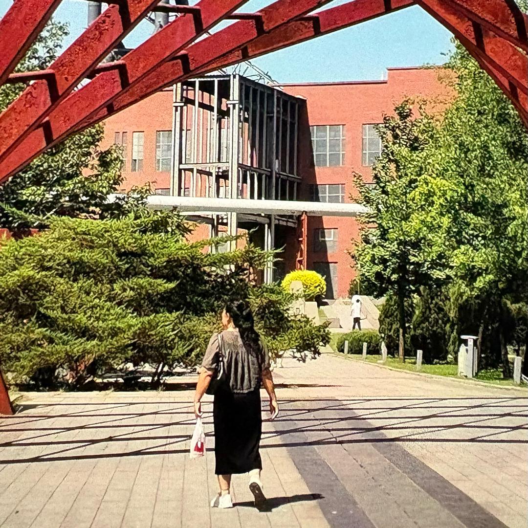 冬日暖阳237339430