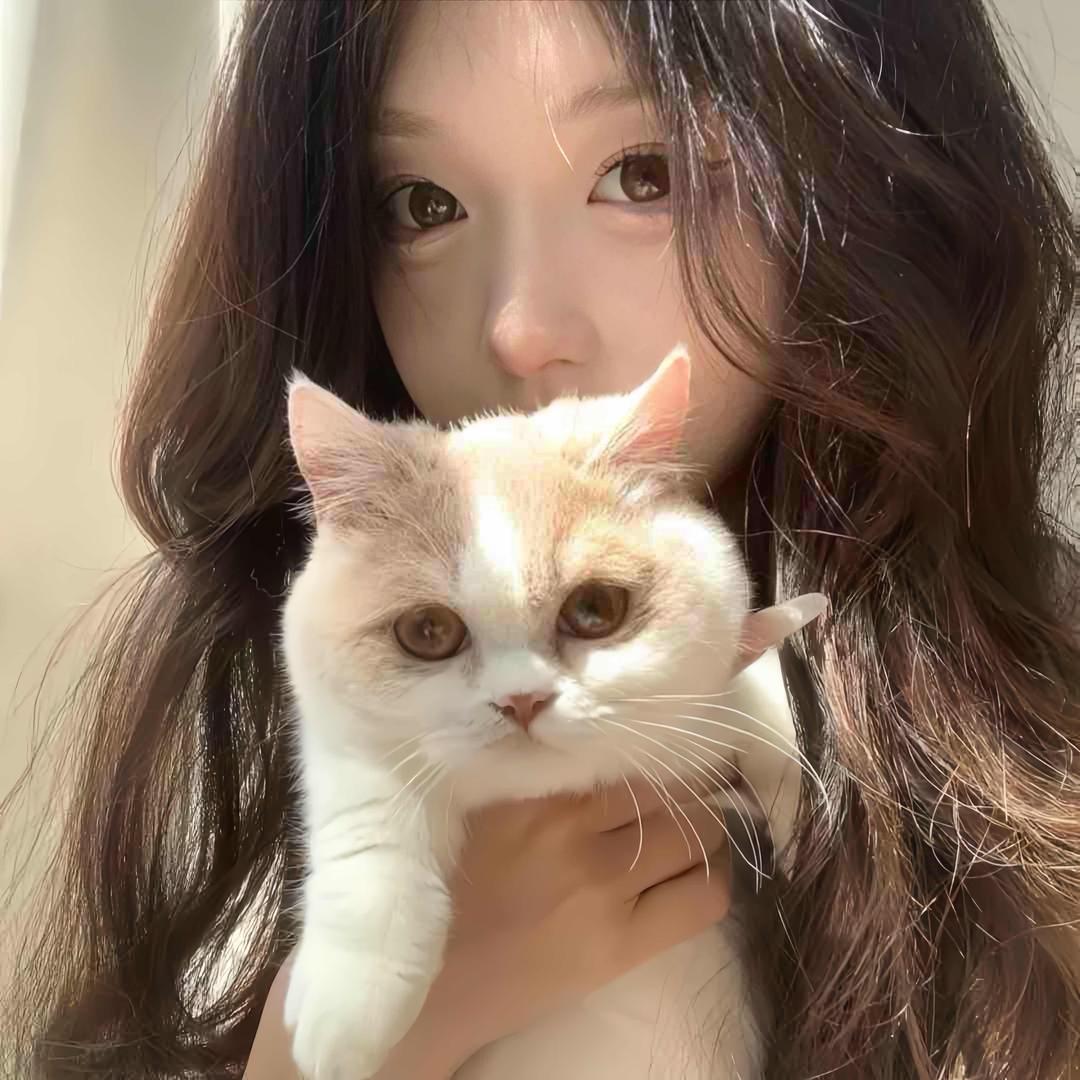 椰椰蛋卷.