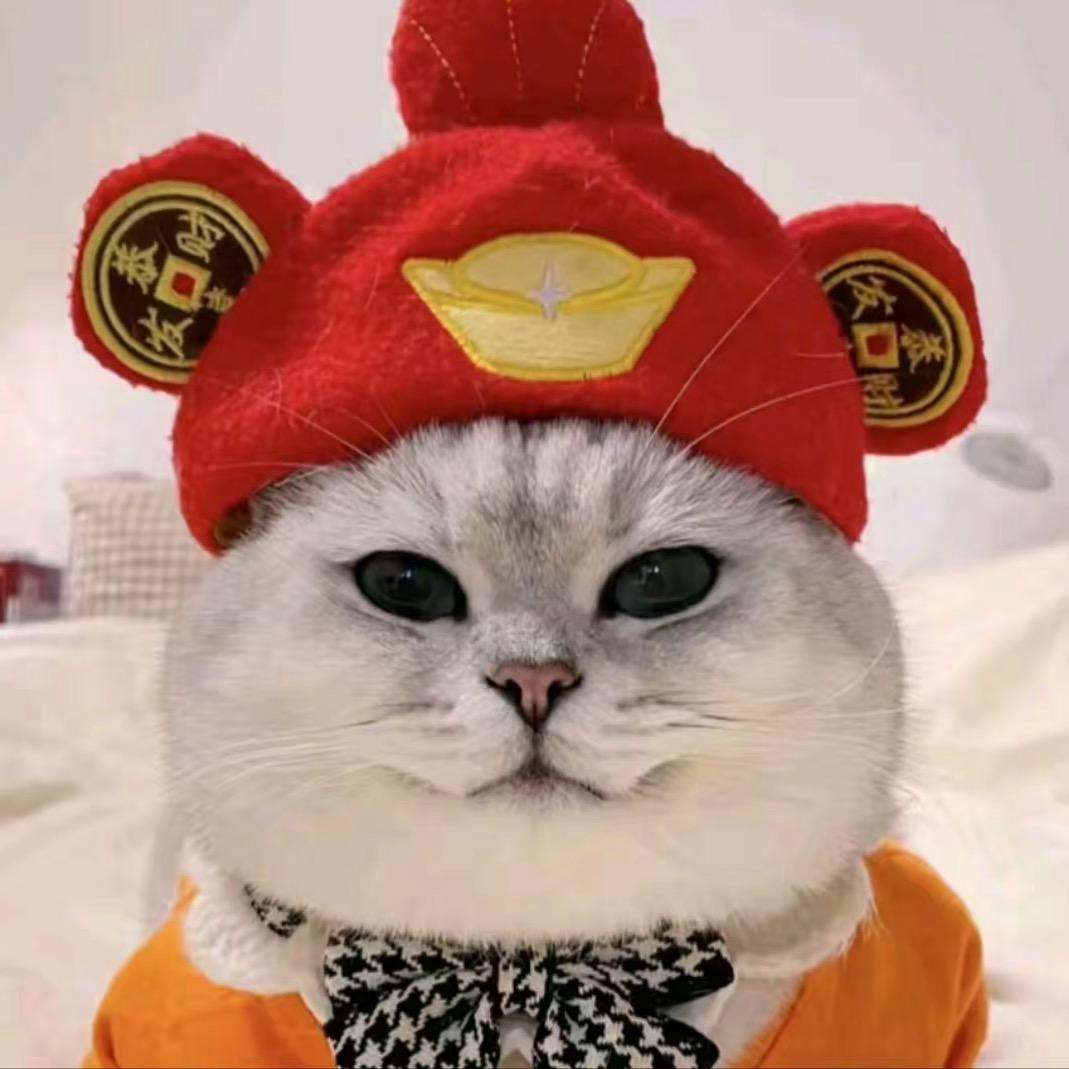 芬儿头可可爱爱