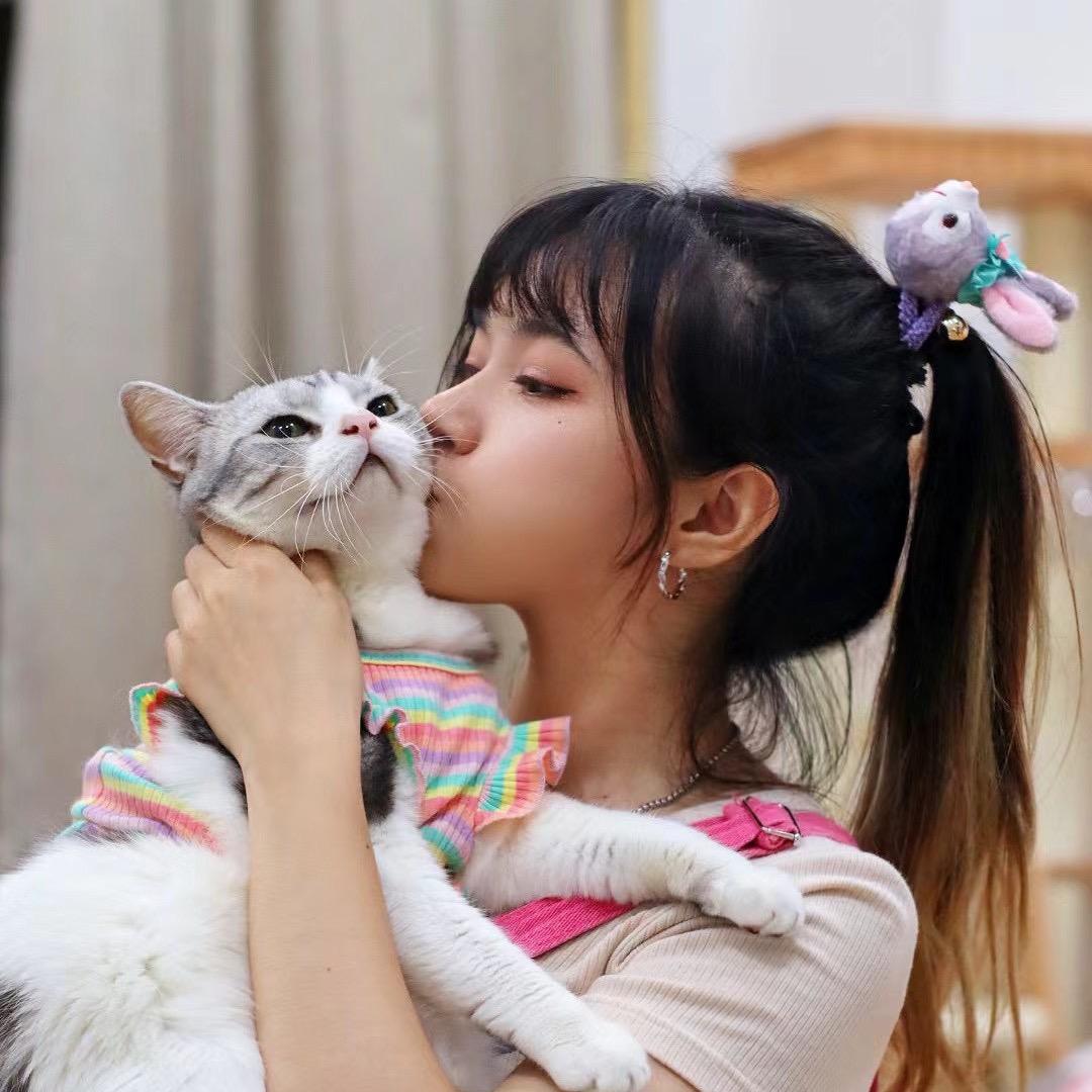 球球不是球🐱