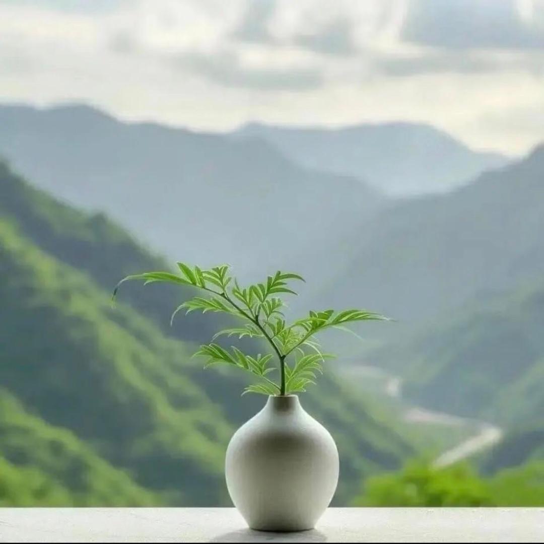 静心，