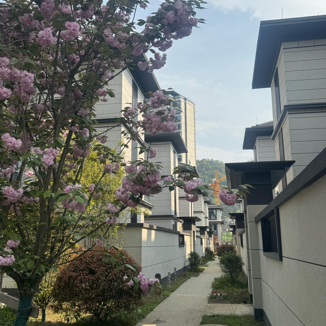虹湖龙湾