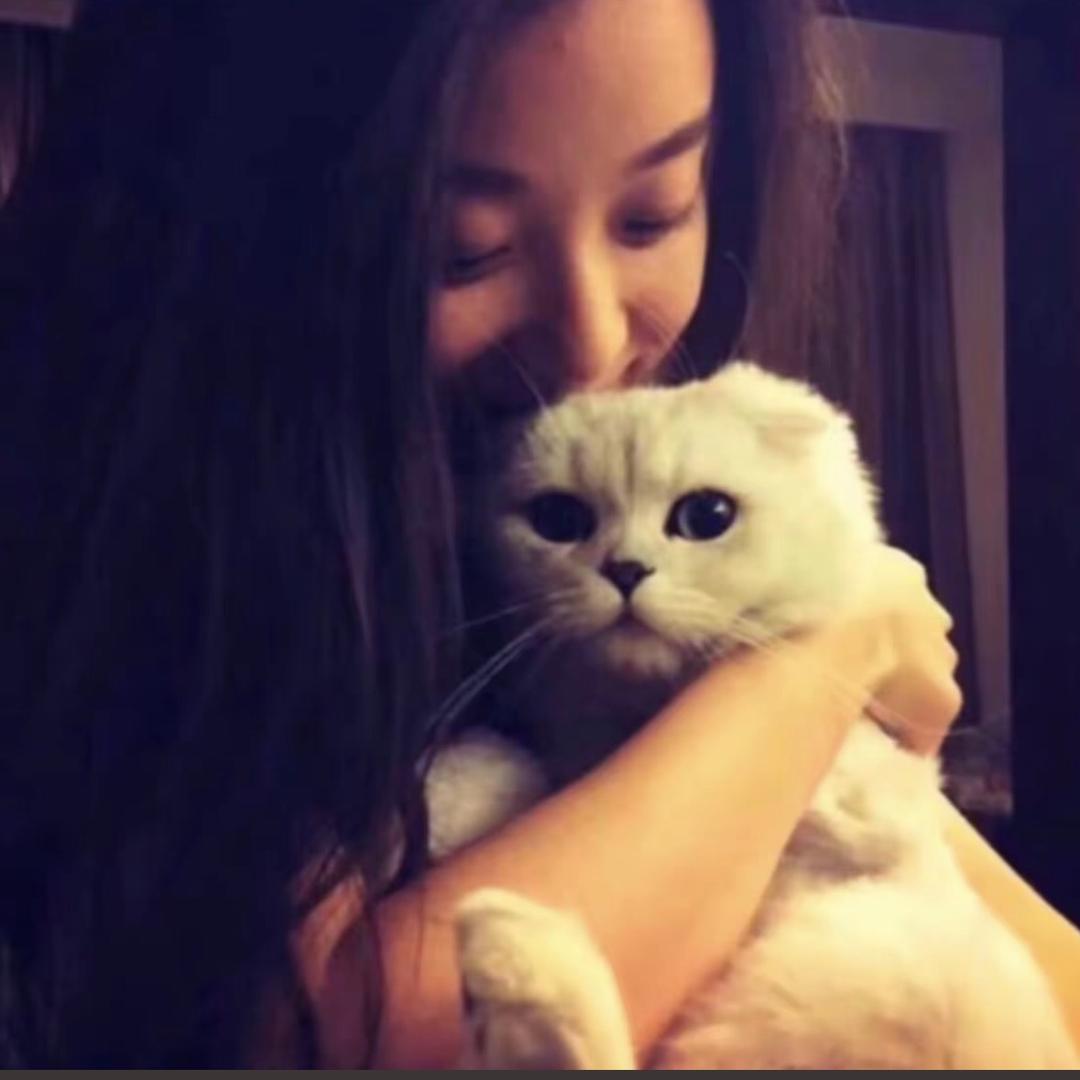 粉丝儿