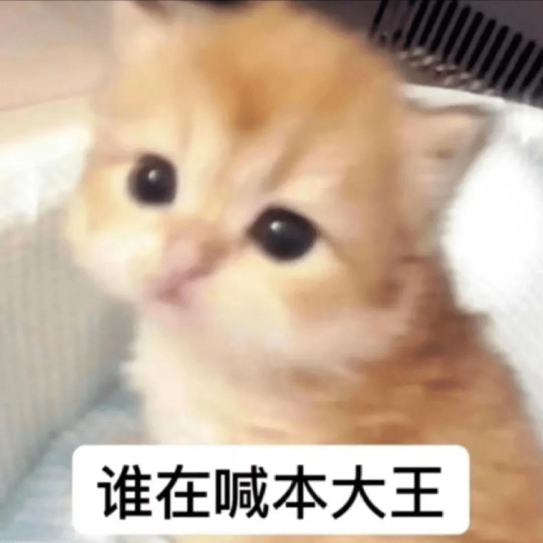 金枪鱼得水🐳