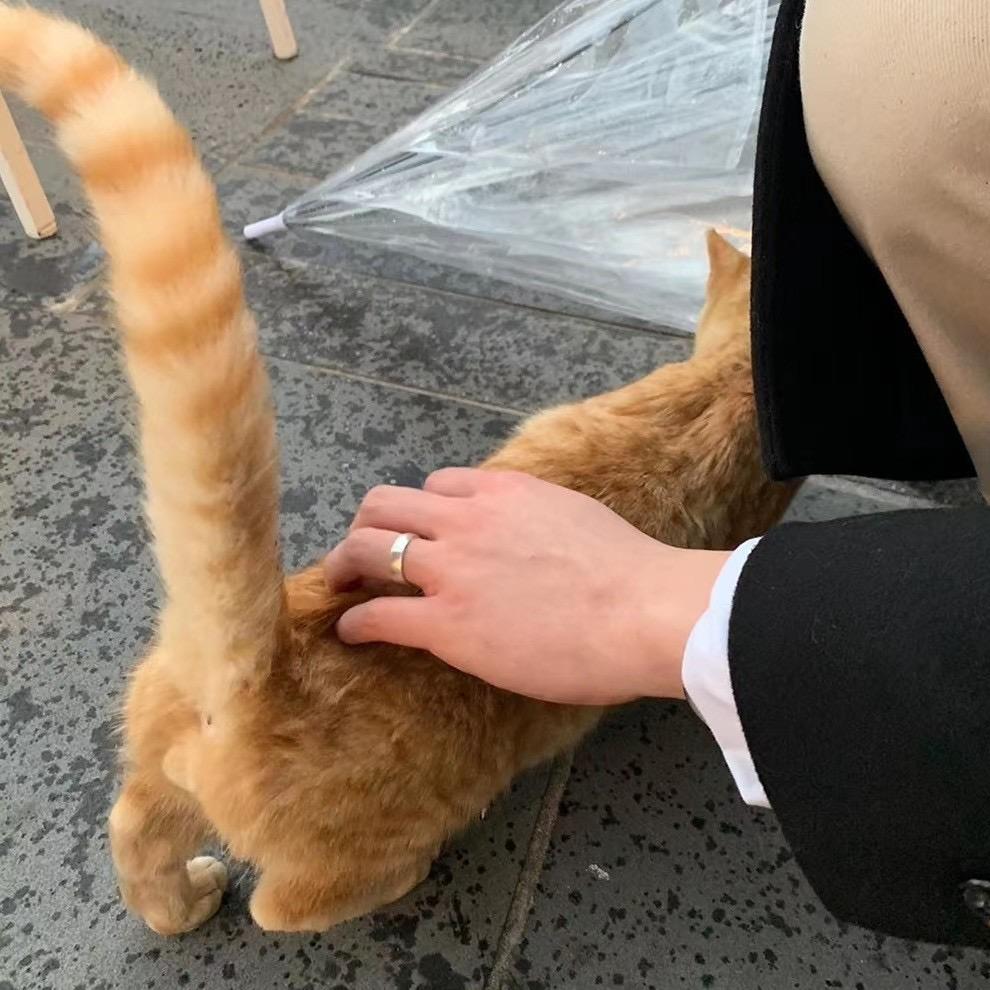 铭v