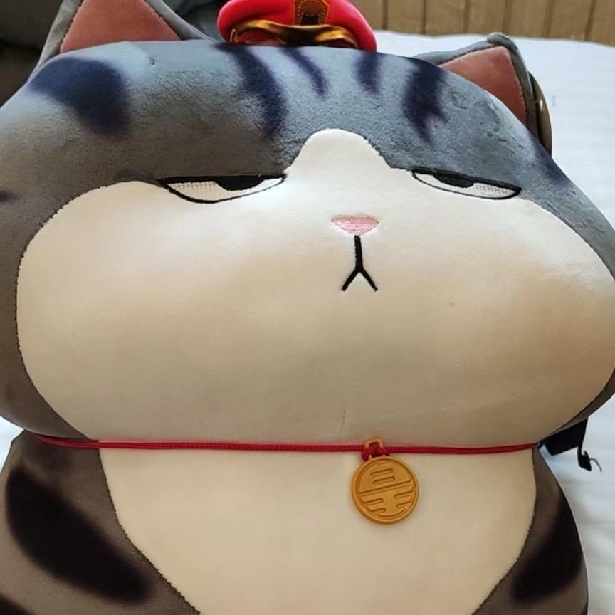 骑着80岁老头闯红灯