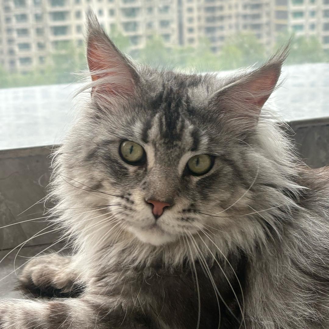 叫我进宝