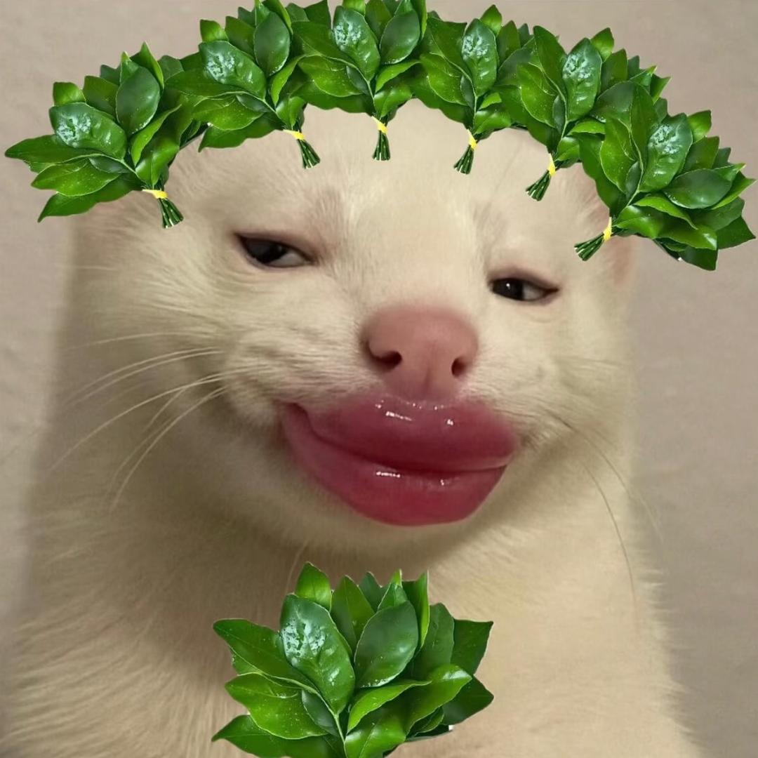 施施甜丝丝ᴮᴰ