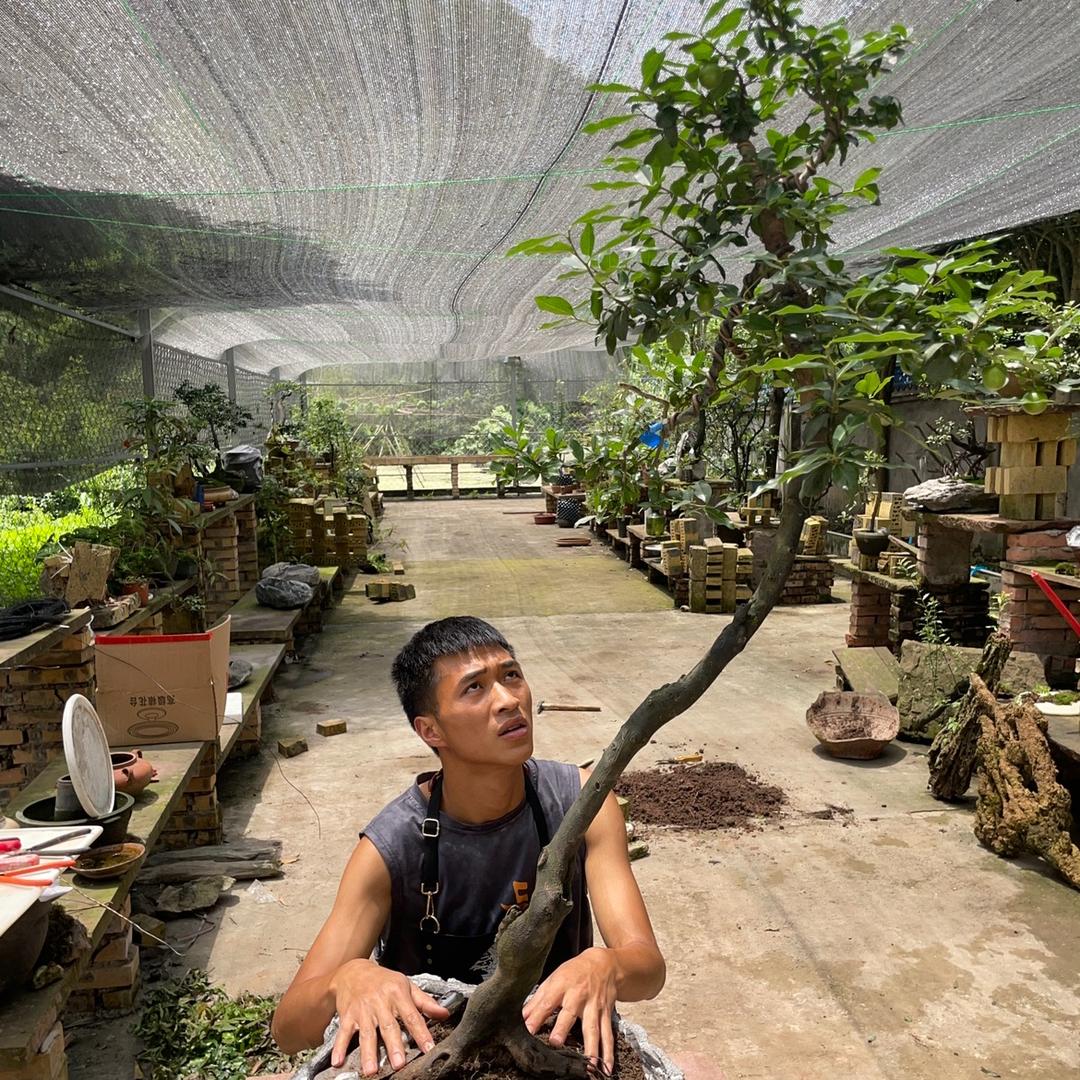 石缘小景