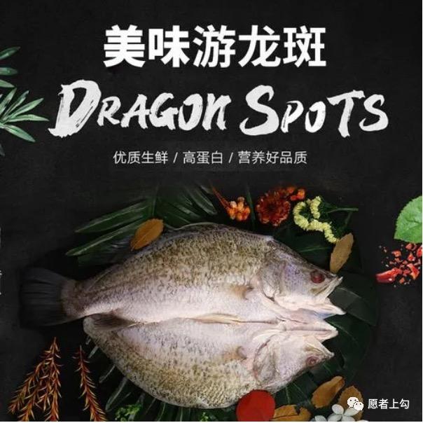 游龙斑海鲜
