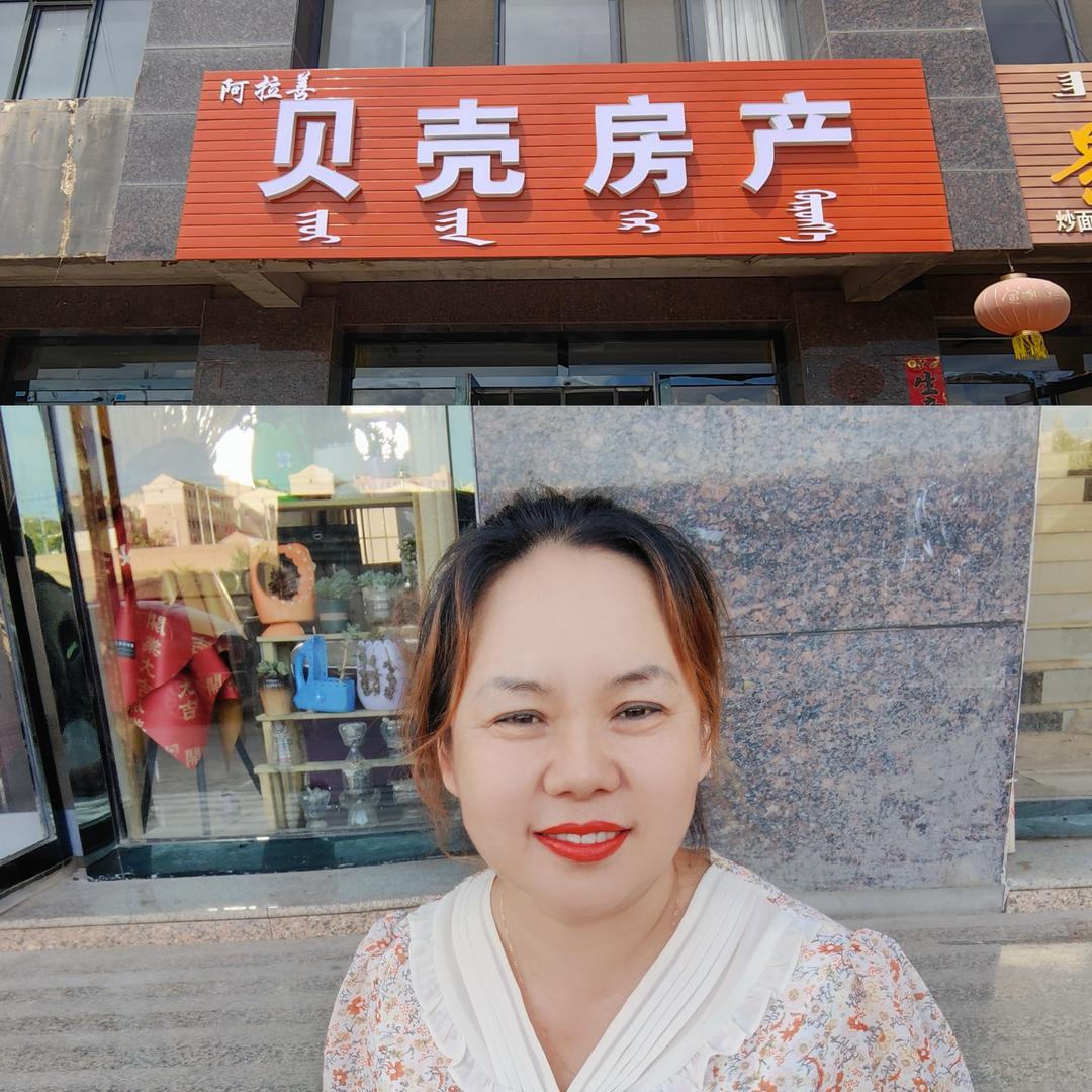 阿拉善魏姐说房（招团队）