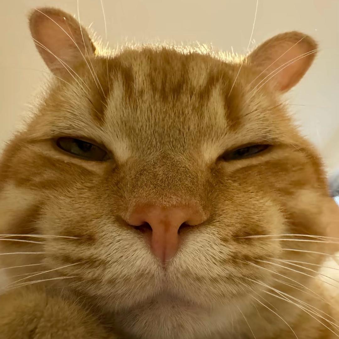 ҈҉҈҉҈҉҈҉҈҉҈҉