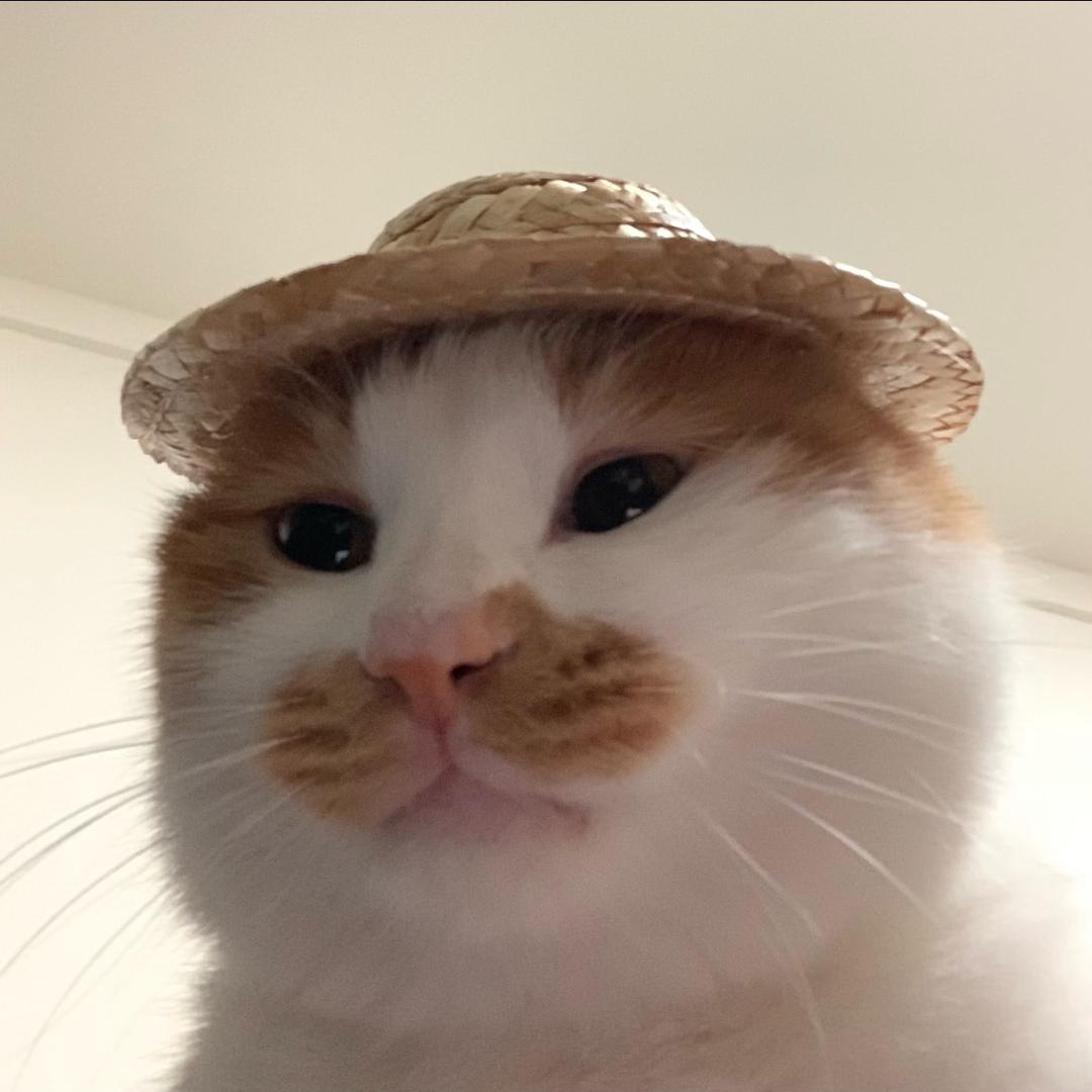 Aa