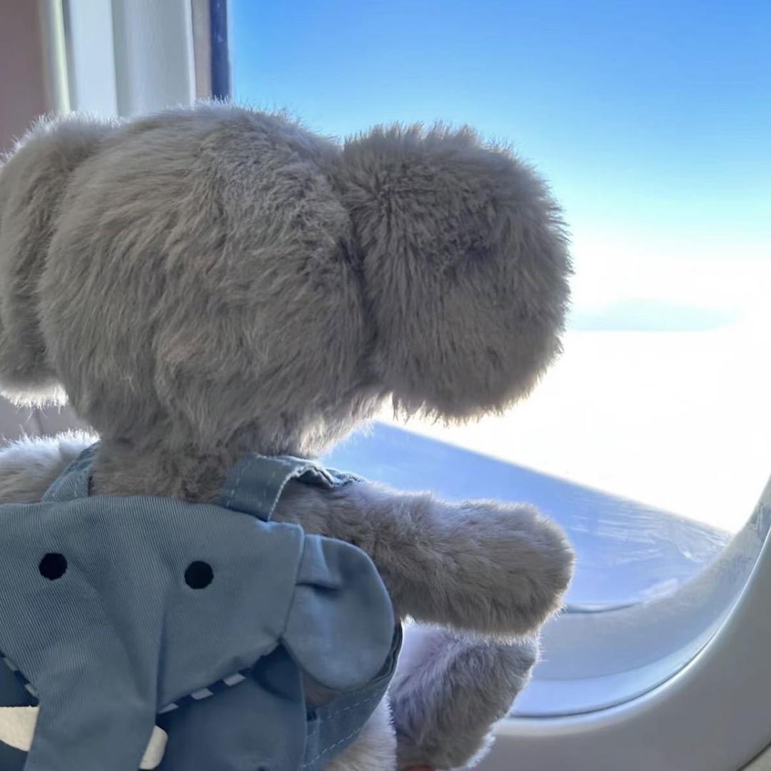 开着飞机闯红灯✈️