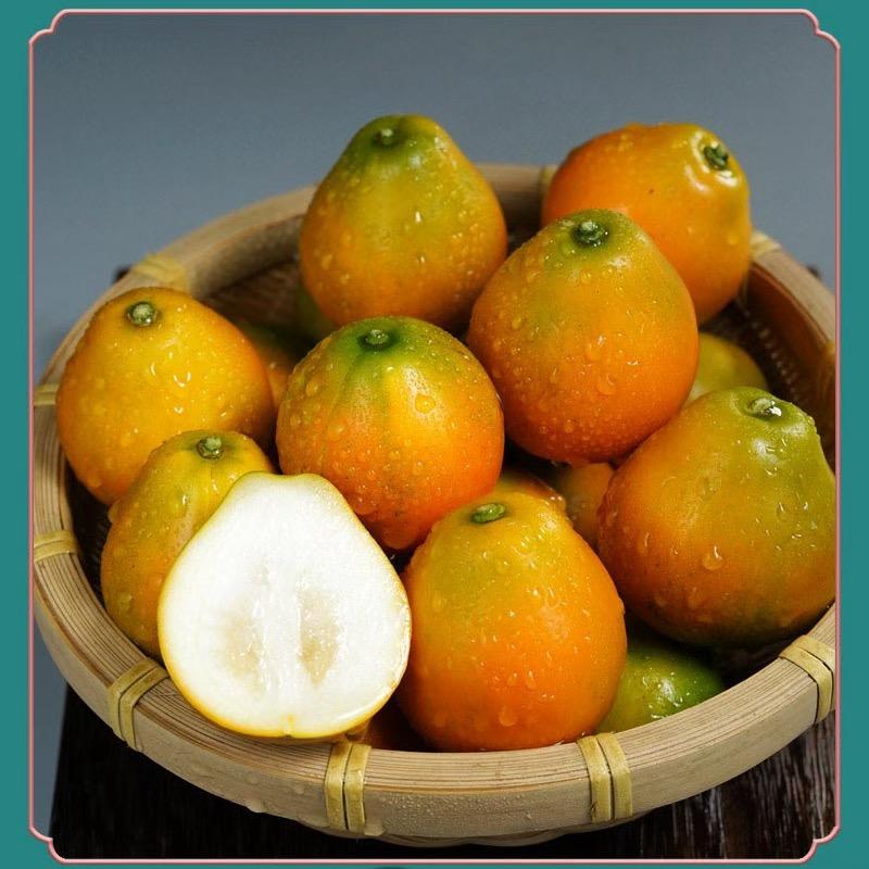 浩宇企业员工-小韦