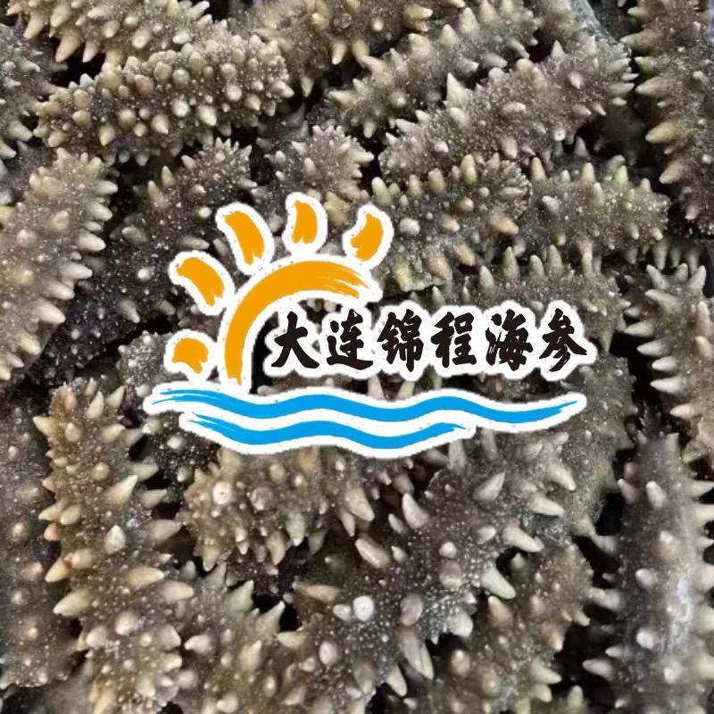 大连锦程海参