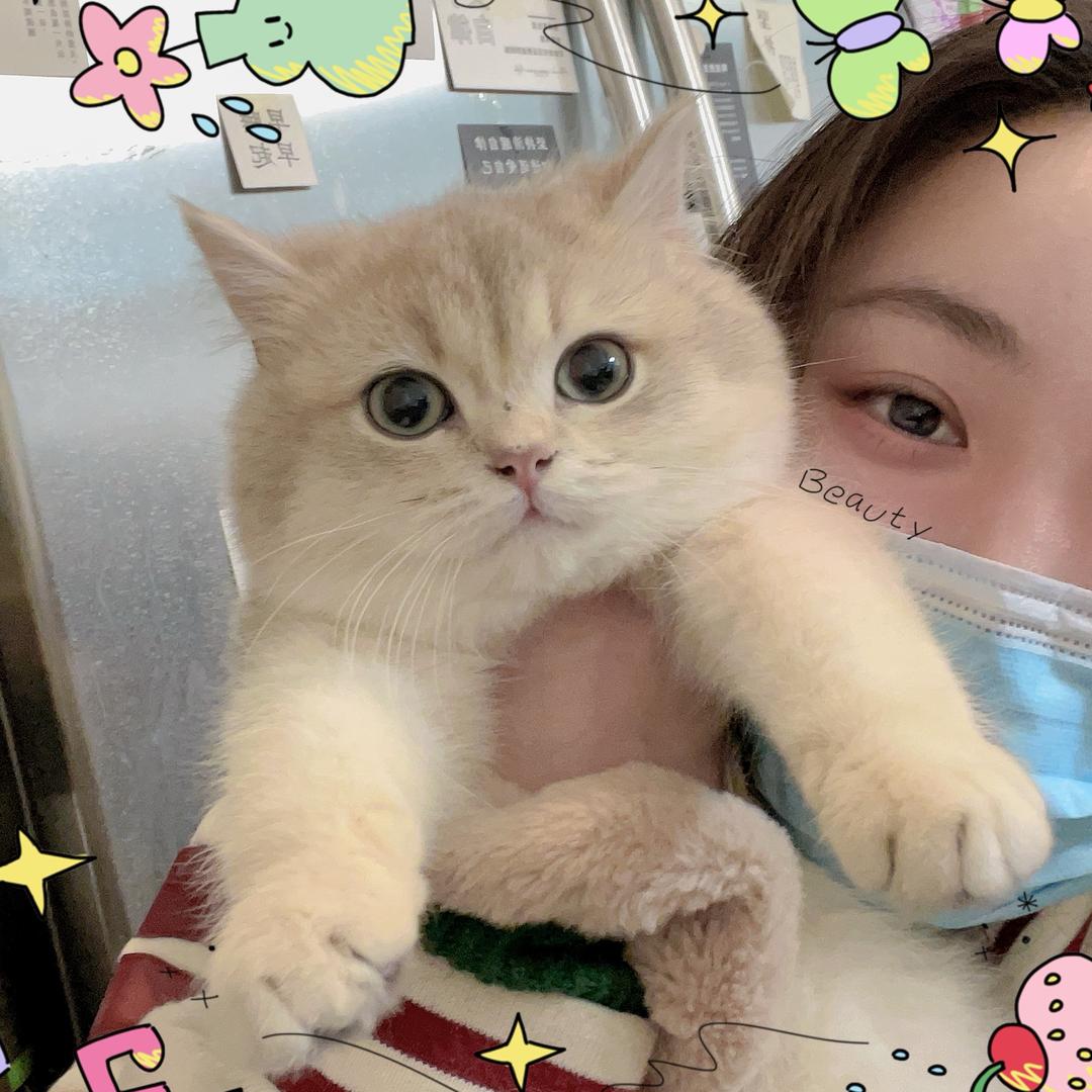 吃饭不吃粥（直播号）