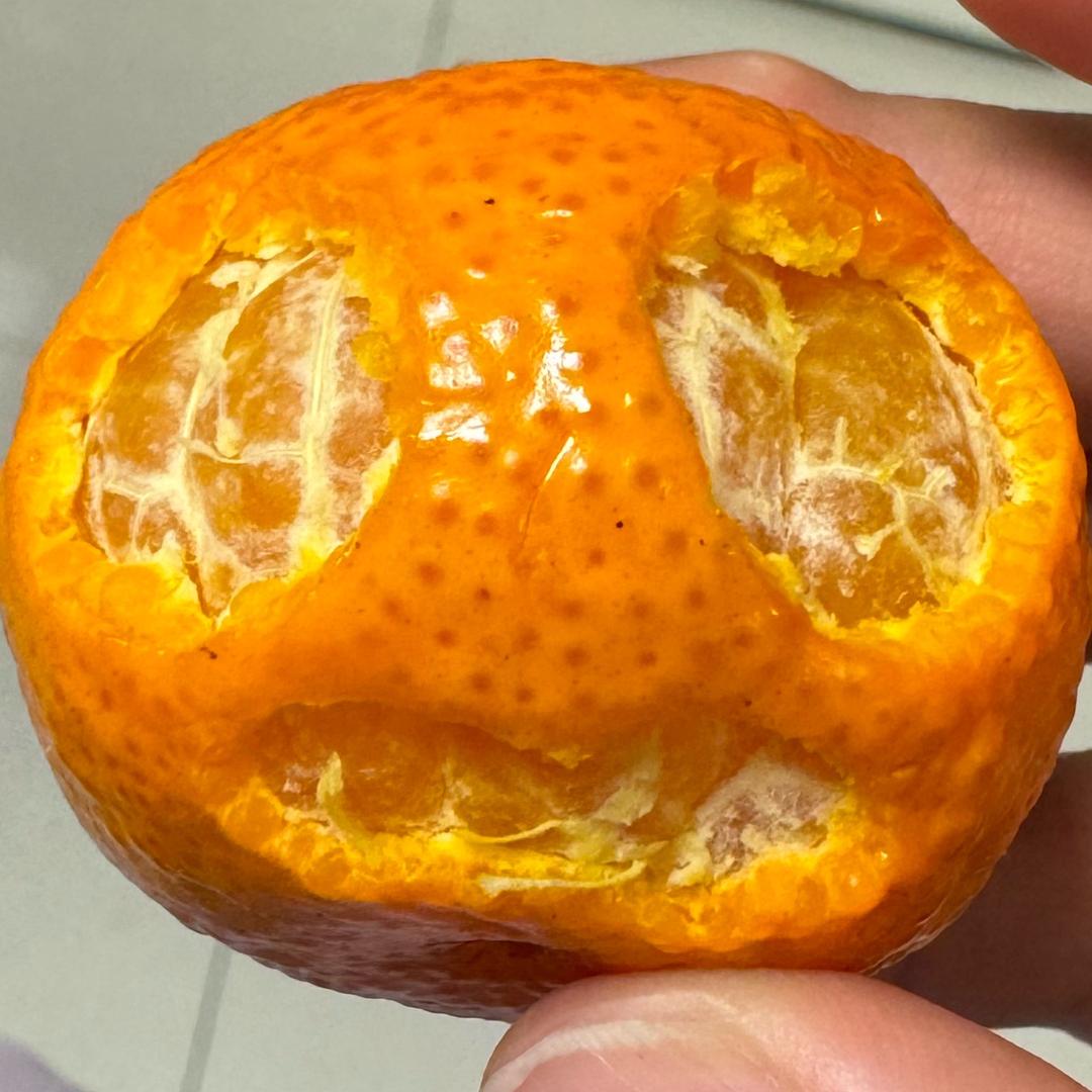 乙工山冂