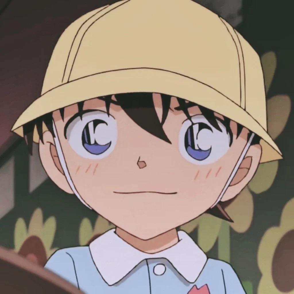 新一的宝藏橱窗2号