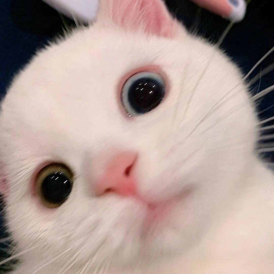 请让一下