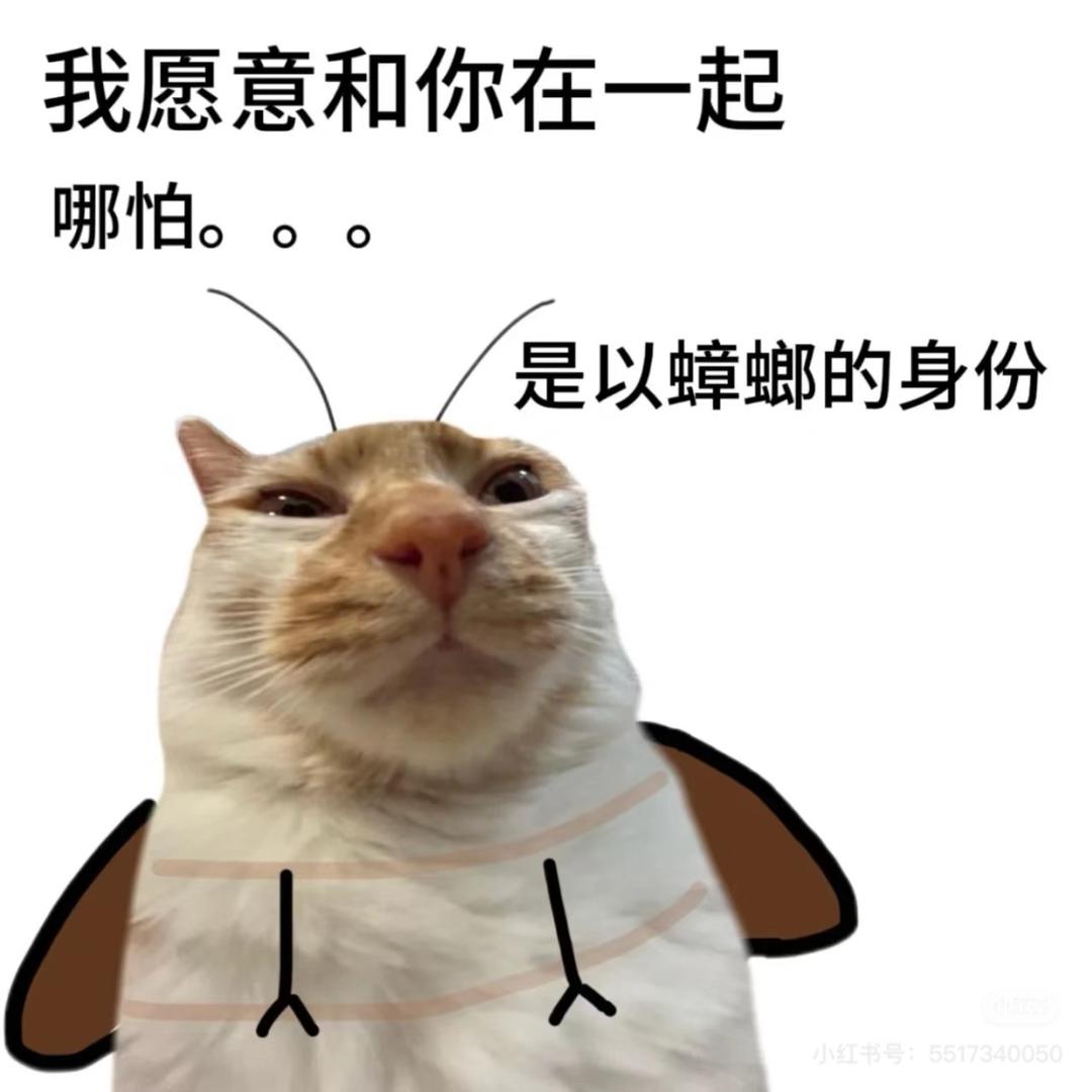 深井仓鼠球