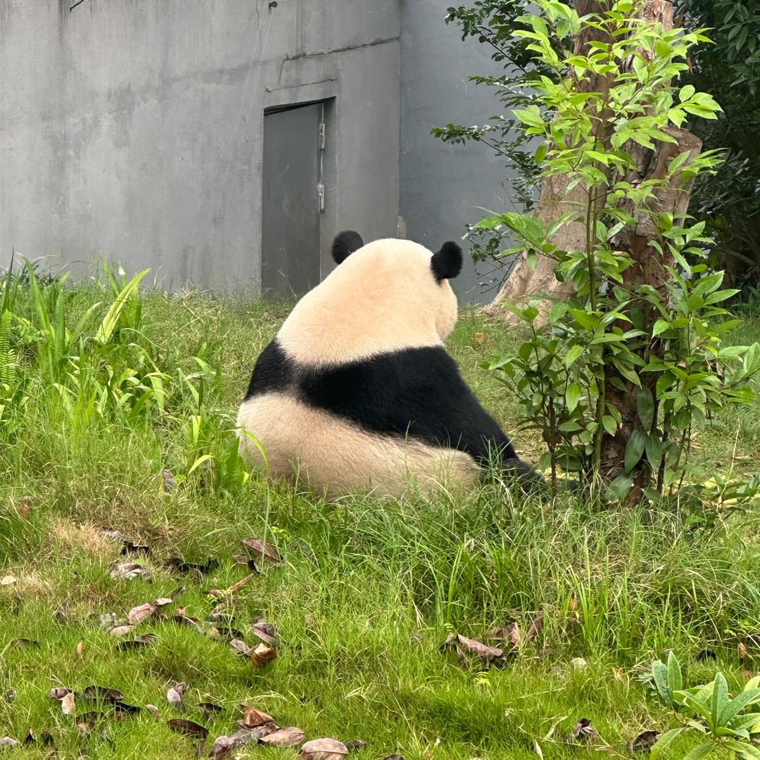 赵钱孙李我姓杨！