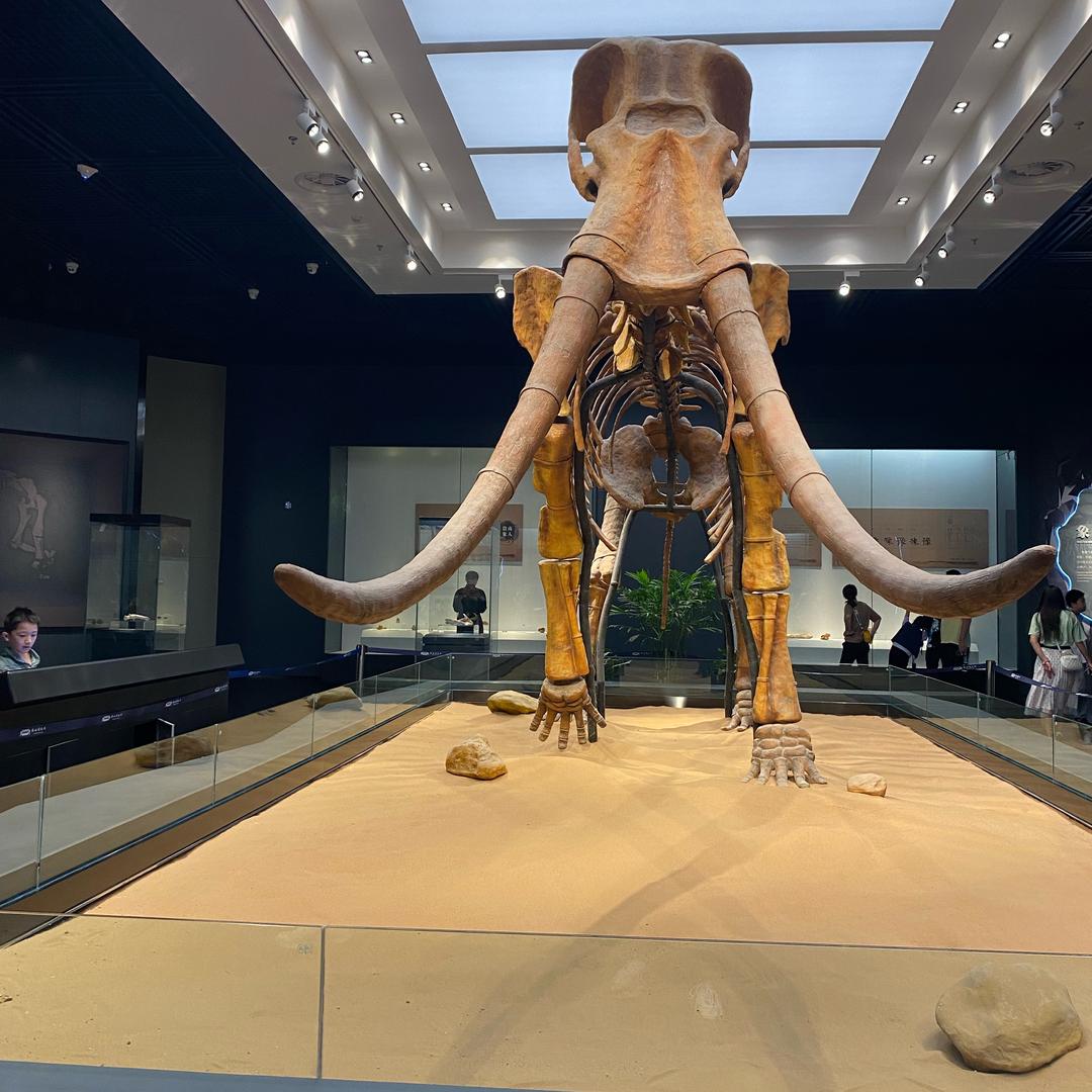 很哇塞的小朋友