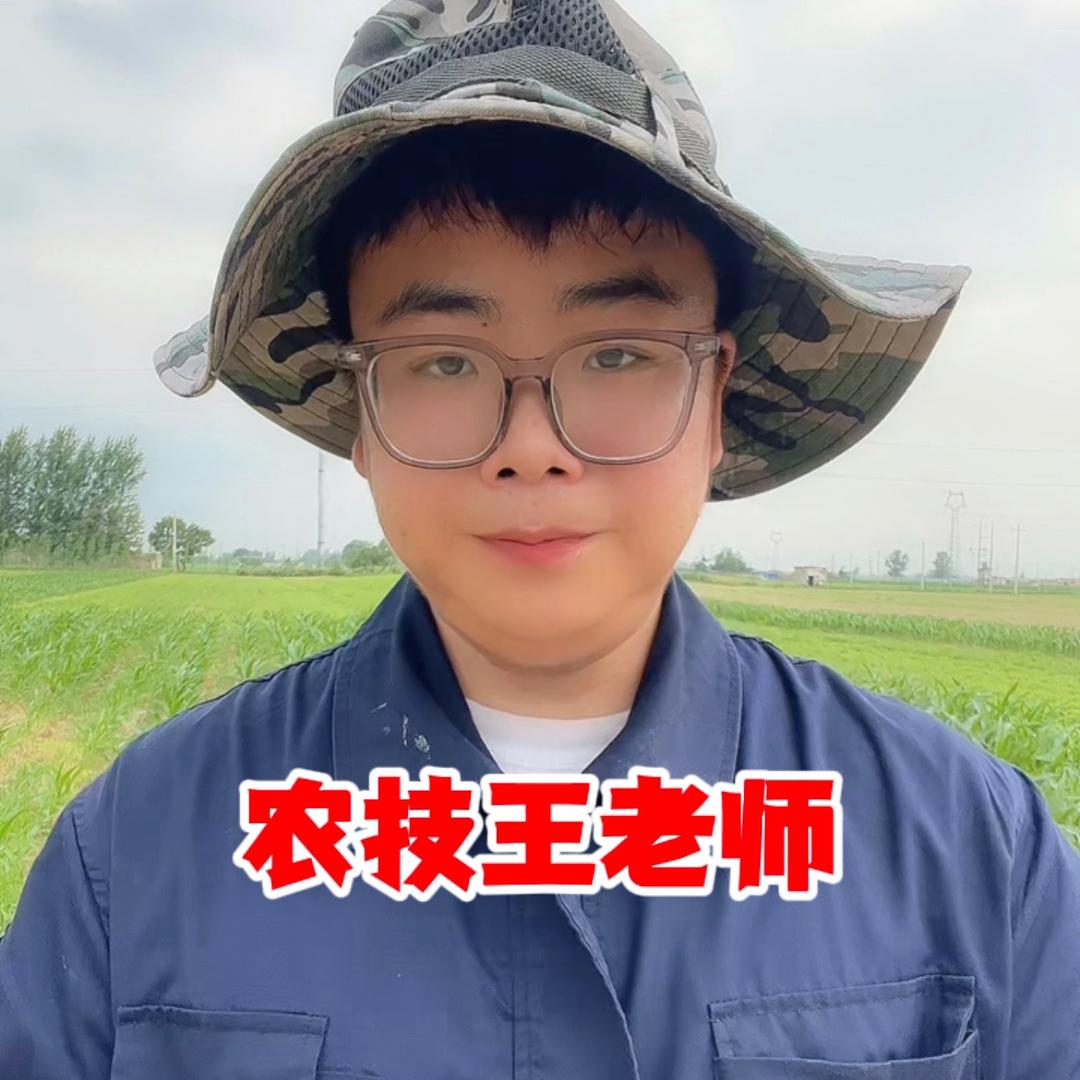 王老师聊农业☘️