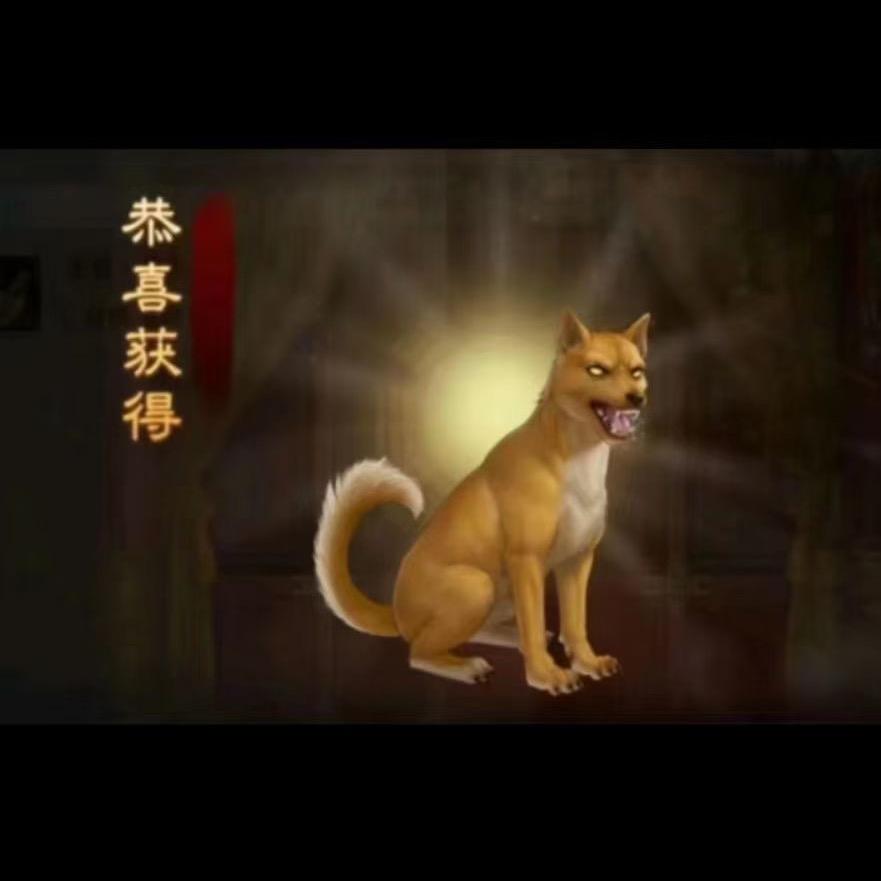 花火
