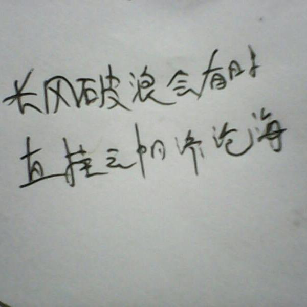 高冷卧龙
