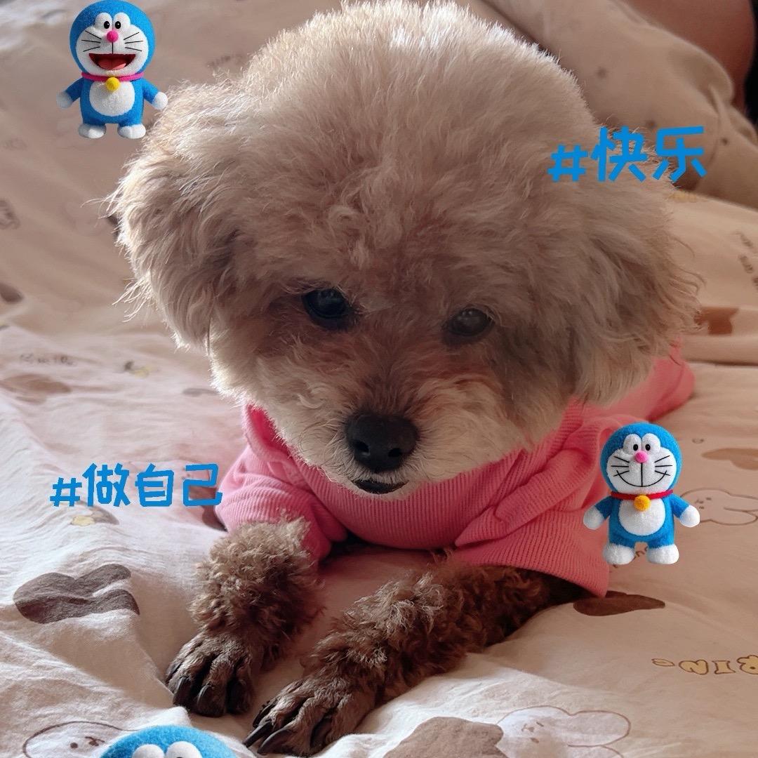 你看不到我