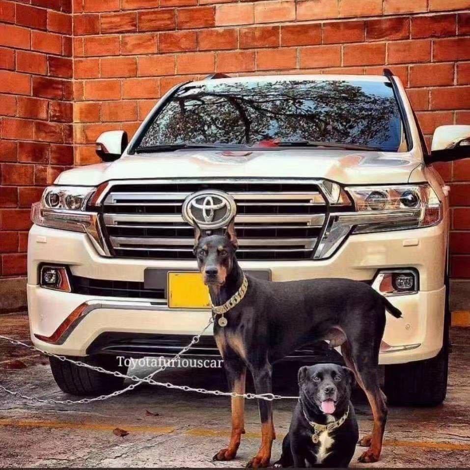 清晨的粥，不如深夜酒！