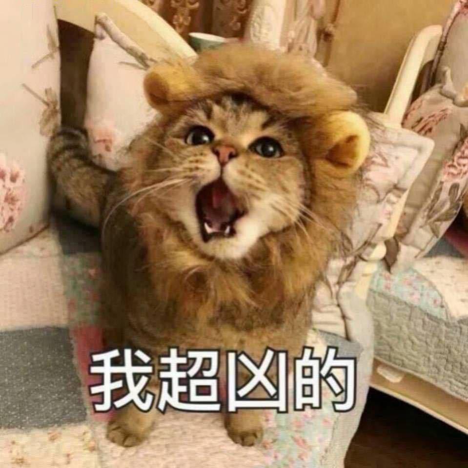 🦁wang卫衣