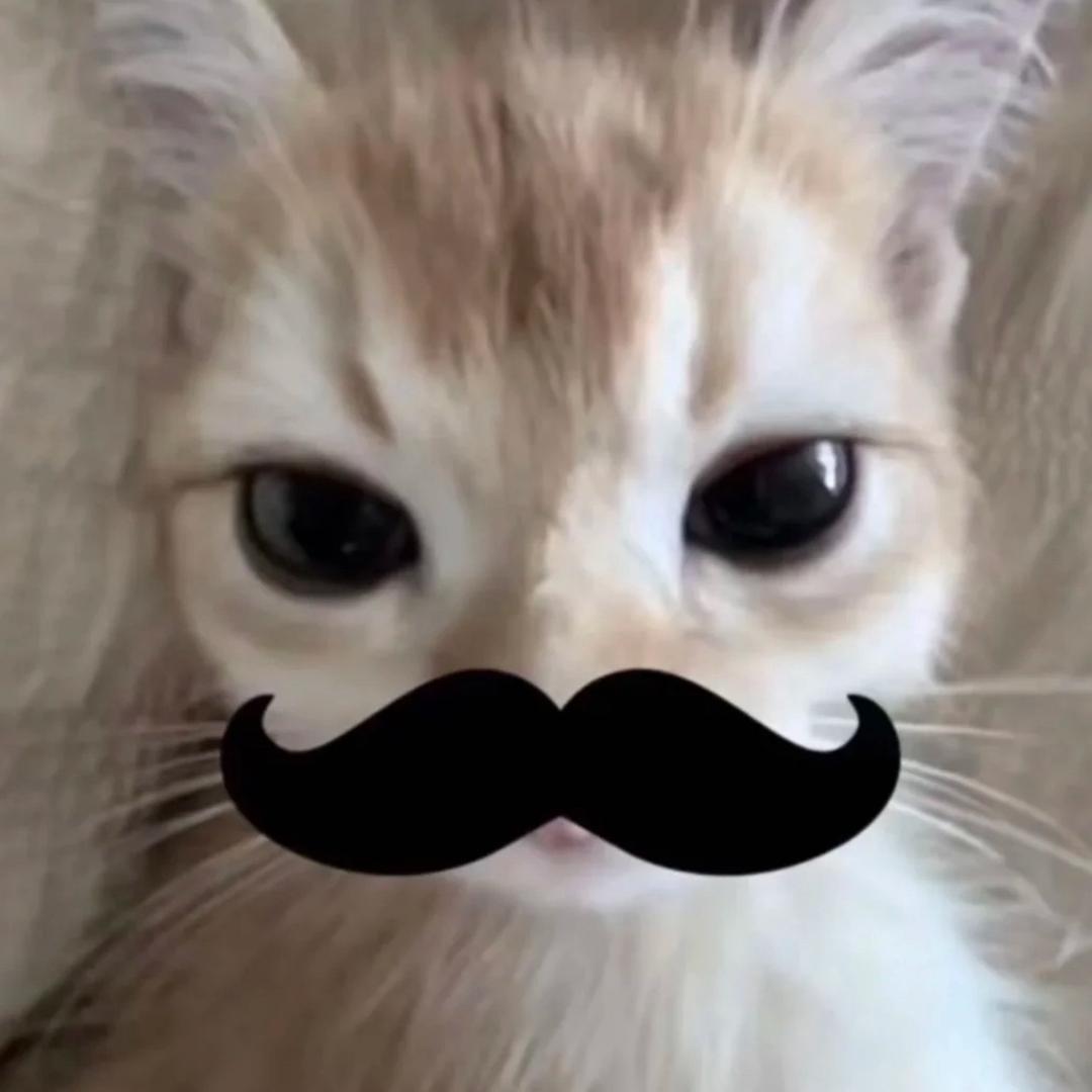 财神爷爷的心尖宠