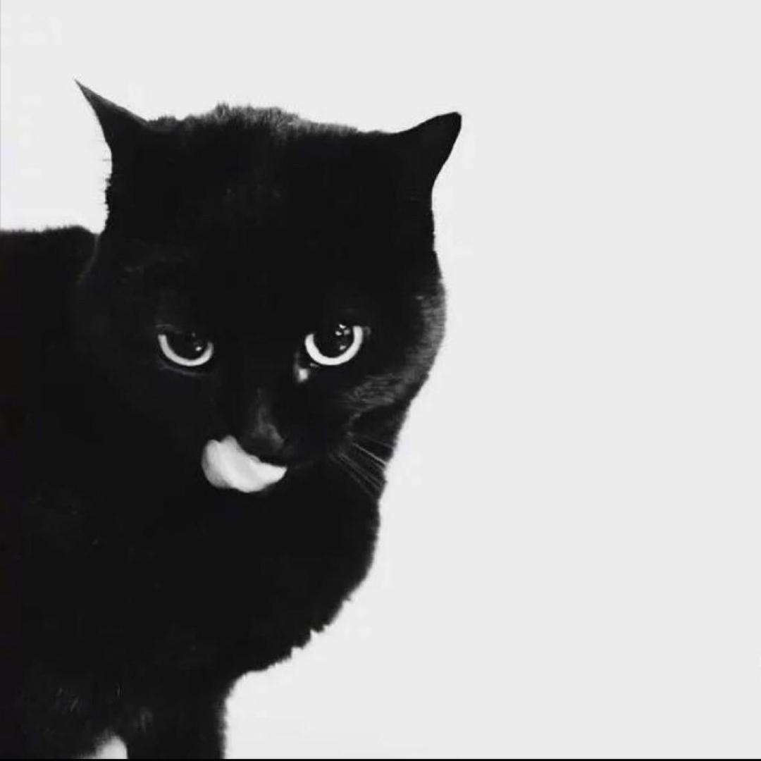 张笑笑.
