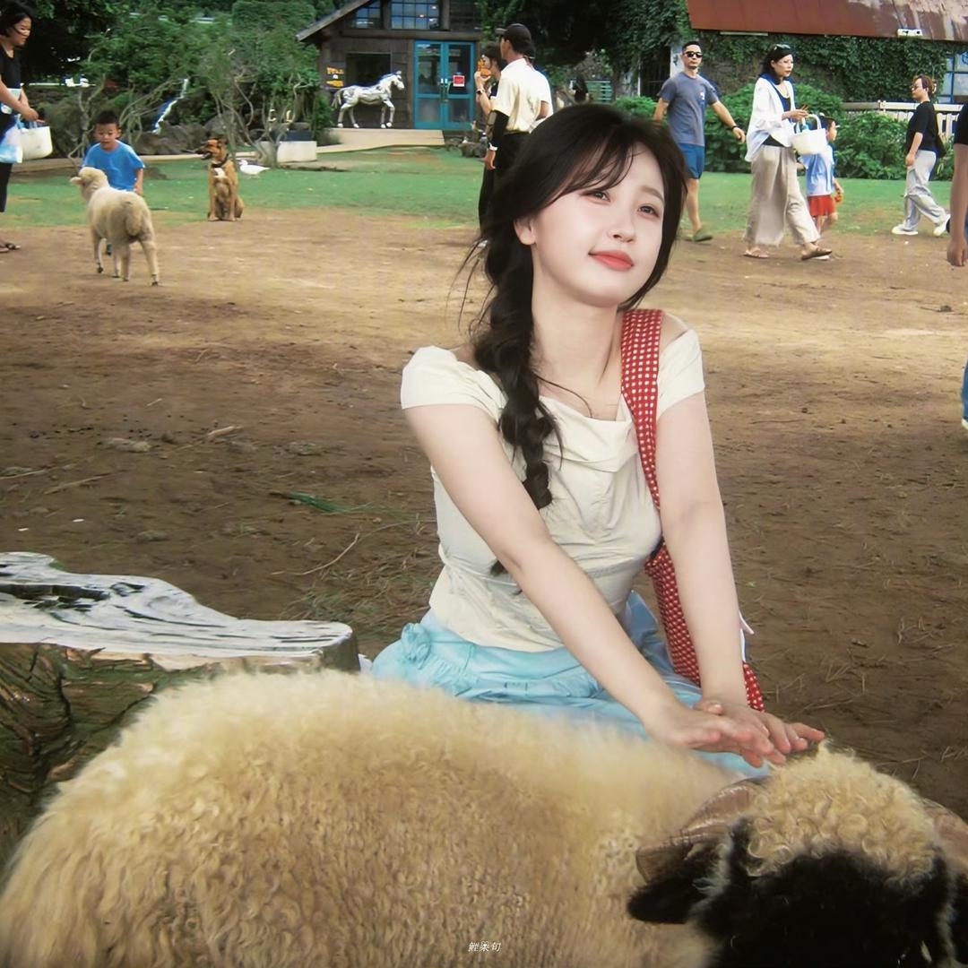 一起去汉南洞看月亮