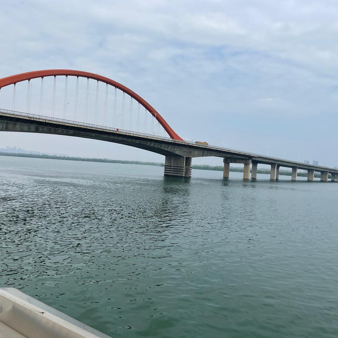 努力搞钱的高先生