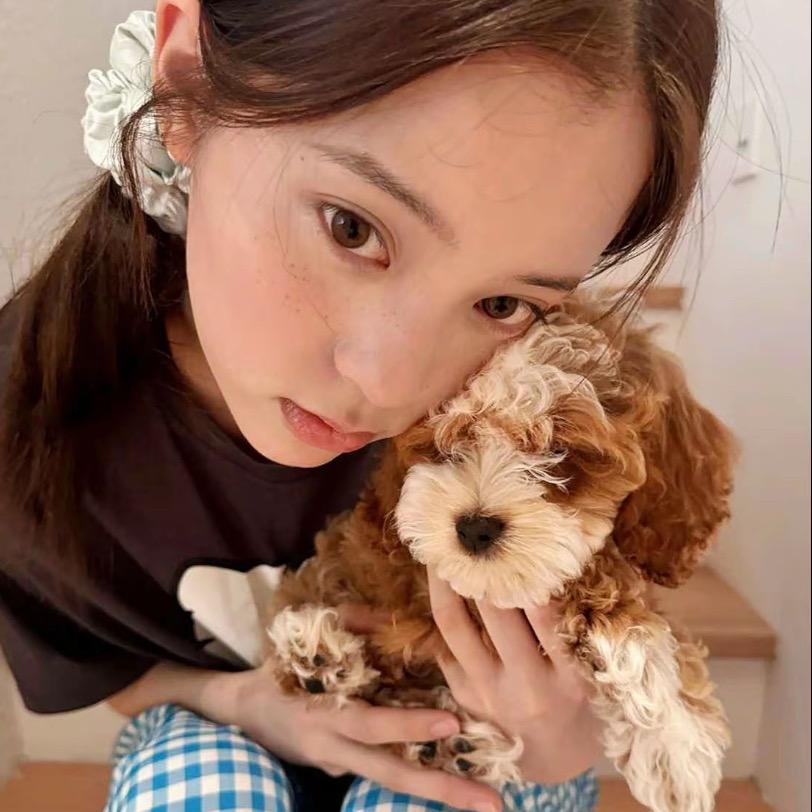 房东的猫.