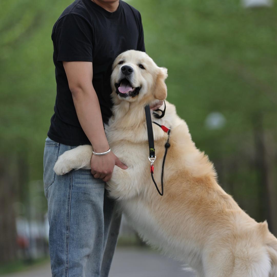 小咔啦