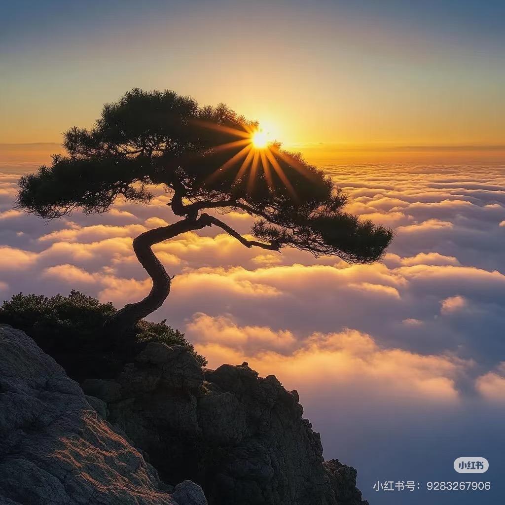 刘老师的数学思维