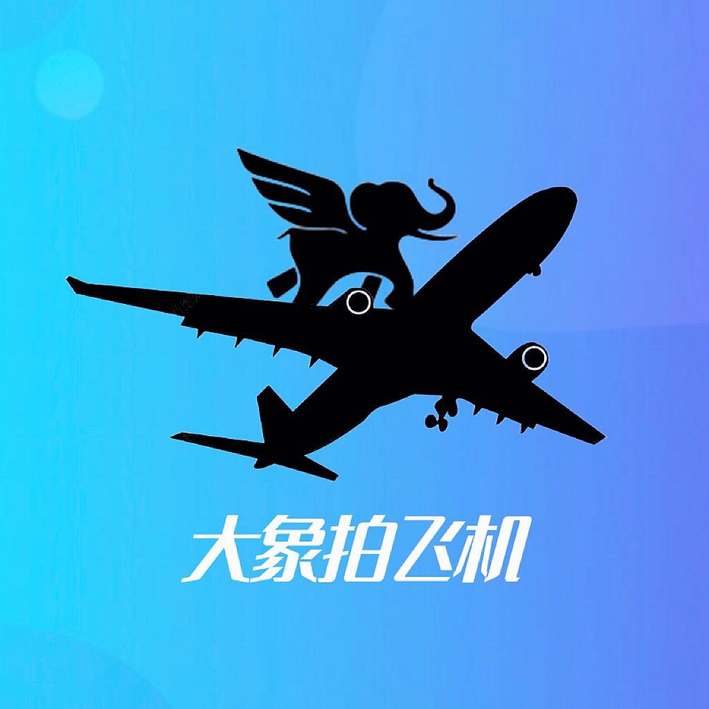 大象拍飞机