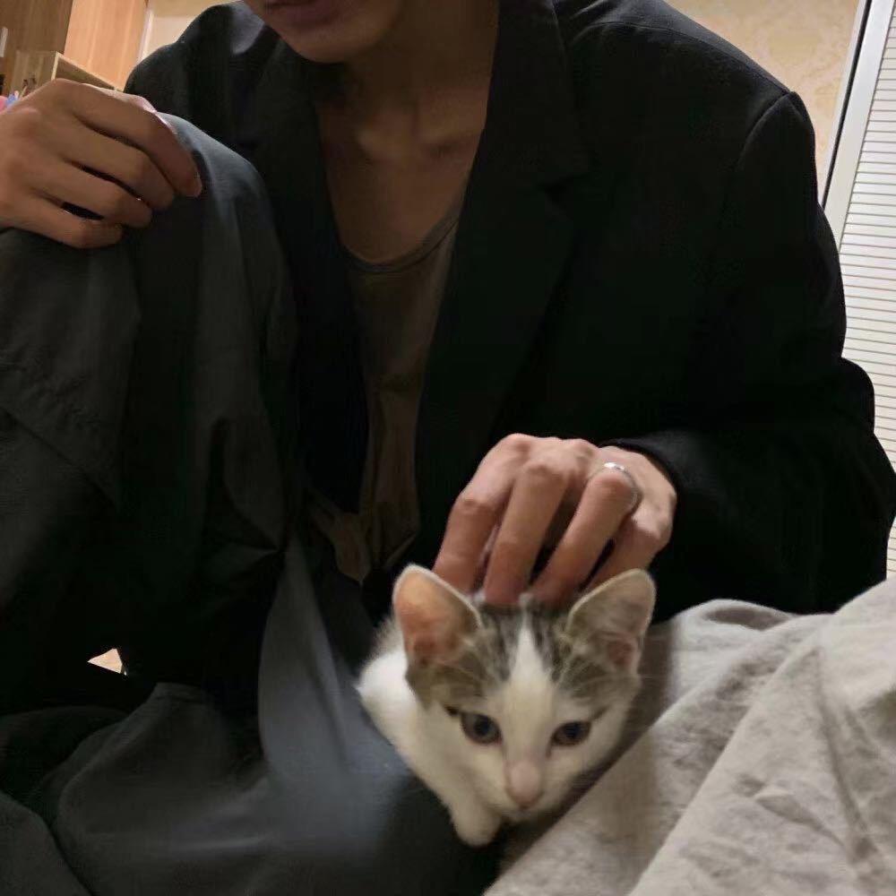 一个积木