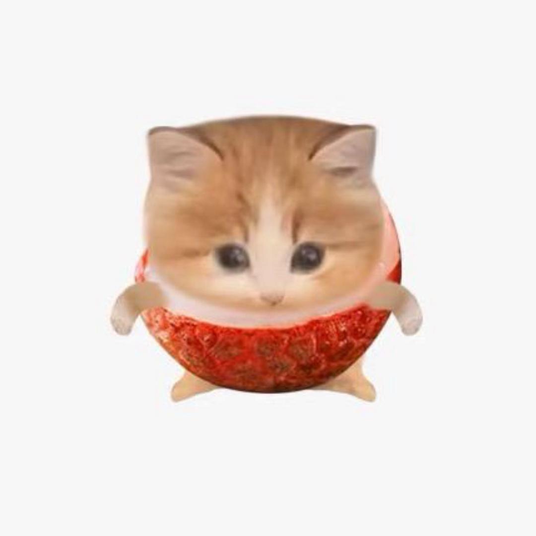 ˃ʍ˂