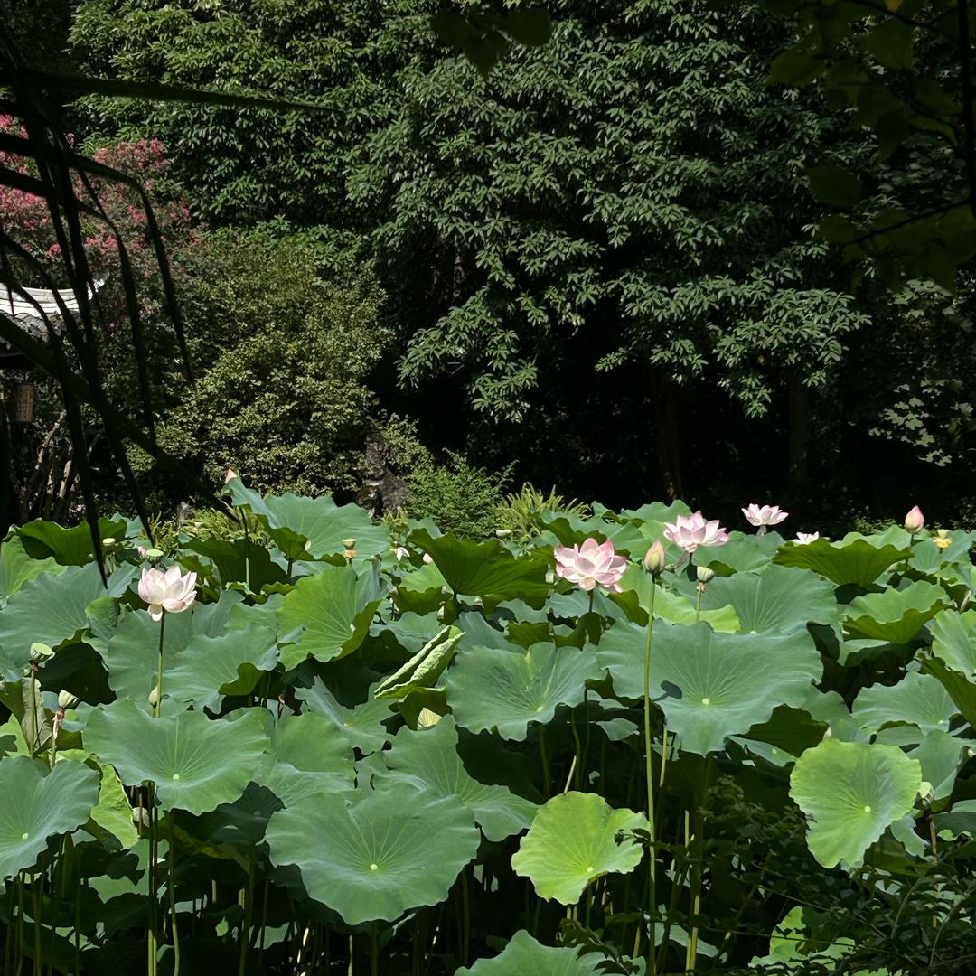 春暖花开
