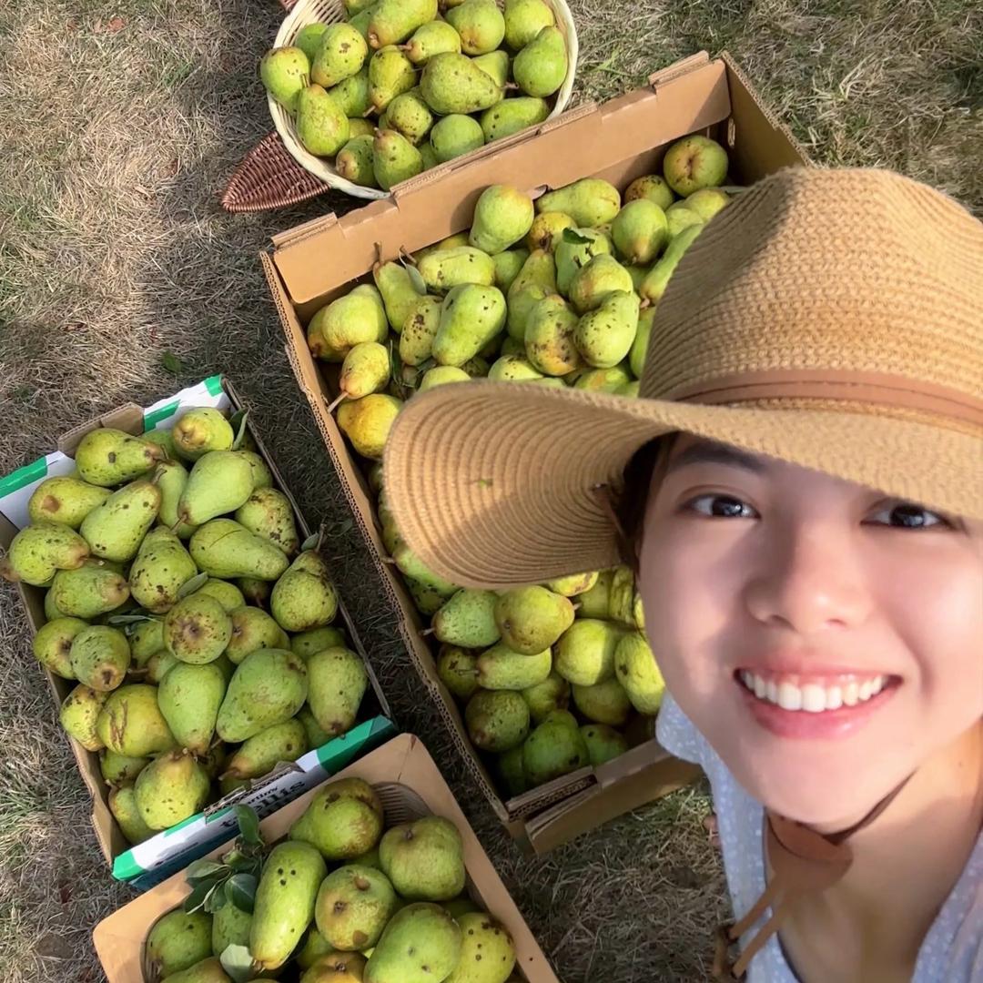 芹菜味的面包🥖